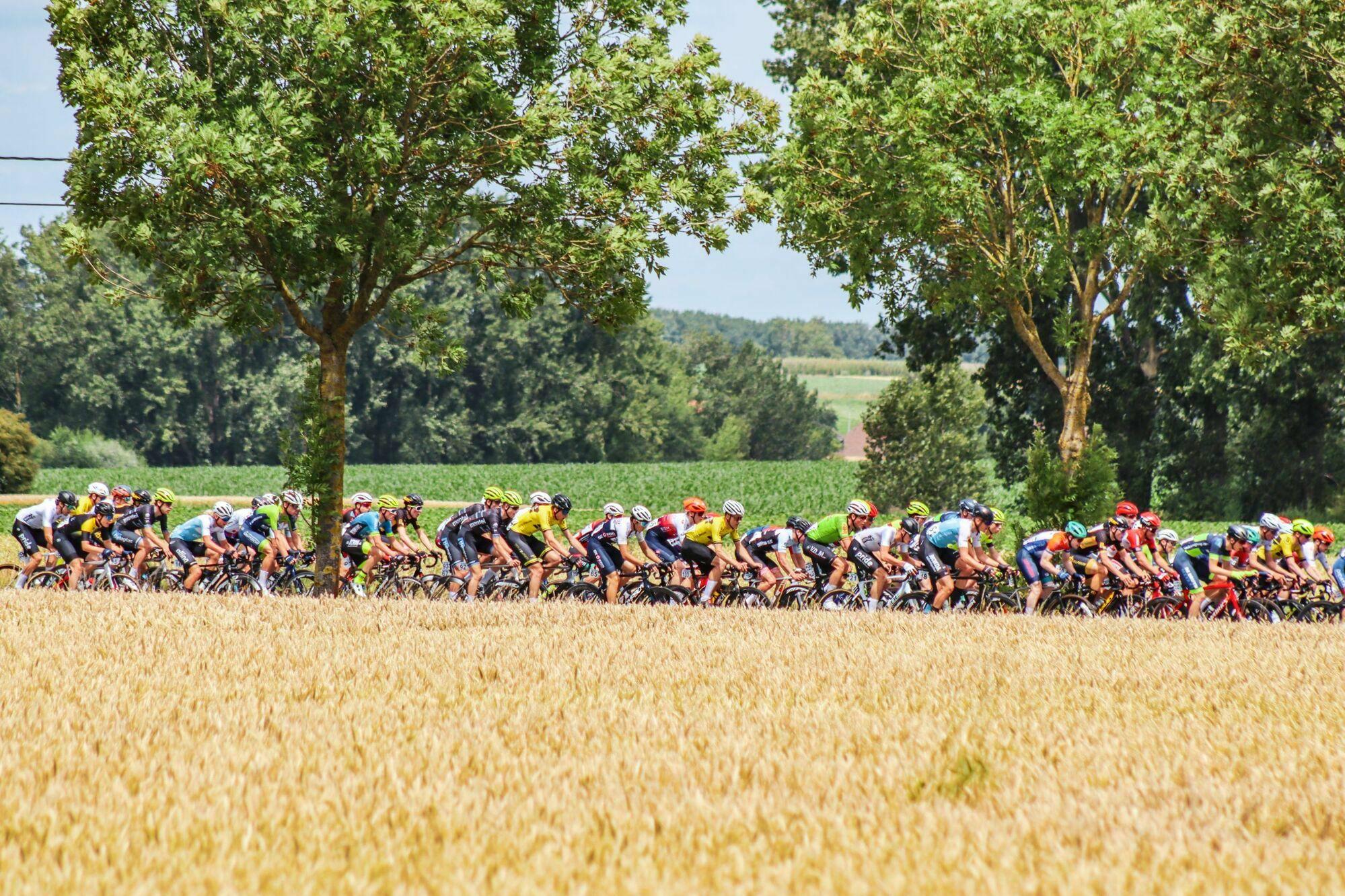 The Muur van Geraardsbergen and the Bosberg will once again be deciding factors in the Omloop het Nieuwsblad U23